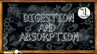 Digestion and Absorption|Introduction|Part-1