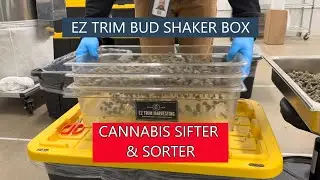 Cannabis Separator and Sorter
