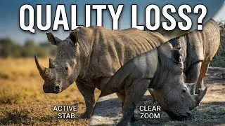 Dynamic active stabilization + 60fps + clear image zoom: max crop and no image quality loss?