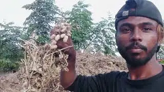 farming village vlogs 🌱🌳 #farming #farming2025 #trending