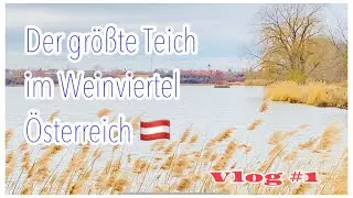 BERNHARDSTHALER TEICH DIE GRÖßTE WASSERFLÄCHE IM WEINVIERTEL - NIEDERÖSTERREICH - ÖSTERREICH.