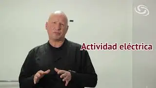 &iquest;Qu&eacute; es una Electromiograf&iacute;a?. Fundaci&oacute;n Instituto Neurol&oacute;gico de Colombia