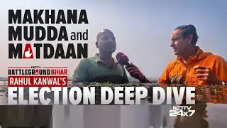 Bihar Election News | NDTV's Election Deep Dive: What Challenges Do Makhana Farmers Face?