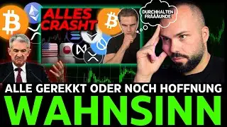 🚨Krypto Wolf: Besteht noch Hoffnung?