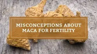 Misconceptions About Maca For Fertility