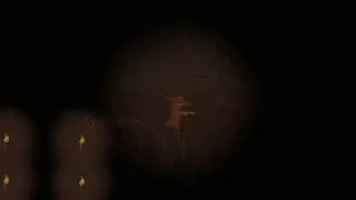 Hunting Huber  with queen faith 89