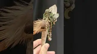 Deer horn crystal staff ||#crystals #ore #nofacetop