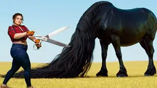This Horse Lived in DARKNESS… Until One Day EVERYTHING Changed! 🌟🐴