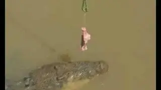 JUMPING CROCS