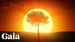 This is Why the SUN is Prominent in Theology, Religion and Spirituality
