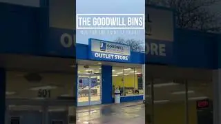 TIPS FOR SHOPPING THE GOODWILL BINS  2025  #thrifthaul #goodwillbins #goodwillhaul