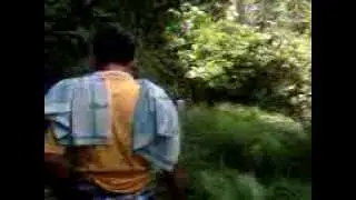 curug ciliman