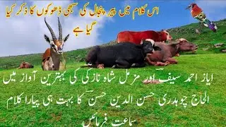 GOJRI GEET || KALAM Ch. HASAN DIN HASAN || AWAZ AYAZ SAIF & MUZAMAL SHAH KI ||