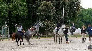Happiness ♡ - Haras de Jardy [ Horse riding falls ]