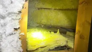 Bat colony within attic of Kansas City, MO home