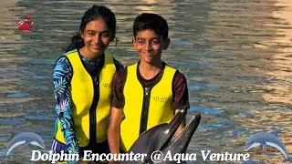 Приключения в аквапарке Aquaventure и встреча с дельфинами | Видеоблог о 5-м дне Дубая, часть 1 🌊🐬