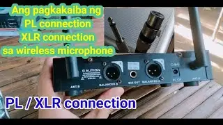 XLR at PL Connection sa wireless microphone l Ang pagkakaiba