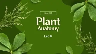 Types of root and stem _ Lec 6 (Final Lecture )_ Bota 102