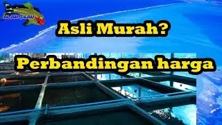 Perbandingan Harga Kolam Ikan Besar dan Kecil complete