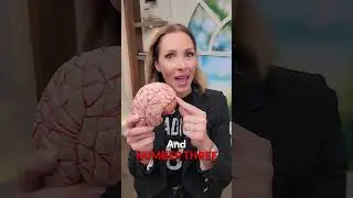 TOP 3 BRAIN SUPPLEMENTS 🧠 #shorts #supplements #brainhealth