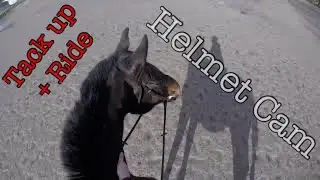 HELMET CAM: Riding Outside + Tacking Up and Untacking