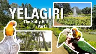 Yelagiri Hills Travel Vlog | Hidden Gem of Tamil Nadu | Weekend Getaway from Chennai/Bangalore! | E1