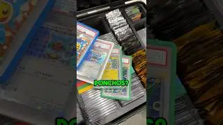 What Pokemon Cards are INSIDE your Case?!