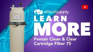 Pentair Clean & Clear Cartridge Filter 75 - What's In The Box
