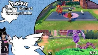 A New Journey - Pokémon Super Sword Extremelocke (01)