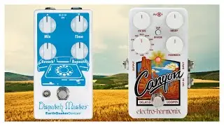 Pedal Pairs: EarthQuaker Devices - Dispatch Master and Electro-Harmonix - Canyon #guitarpedals