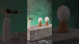 An experiment with a bullet and an egg! 💥🥚