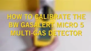 How do I calibrate the BW GasAlert Micro5 Pumped Gas Detector?