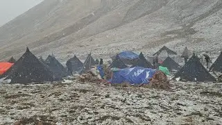 Best Life in A Himalayan Gold harvest During The Snowfall and Rainy Day|Most peaceful Relaxing video