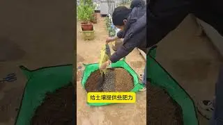Essential soil preparation techniques to learn before spring sowing #soilimprovement #springsowin...
