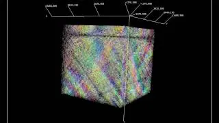 3D replicating tissue