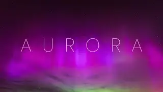Aurores | 4K