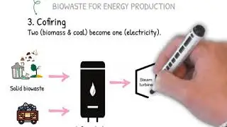 Different technologies used to produce energy from solid biowaste