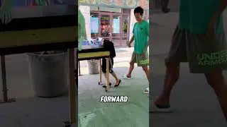 Mysterious Magic #shorts #wholesome  #funnyanimals   #hearttouching  #mademesmile  #otter