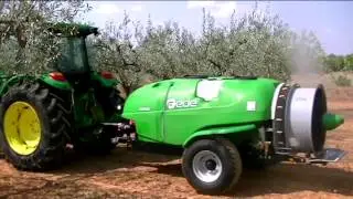 La mosca del olivo