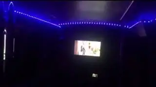 Typhoon Party Bus in Chicago, Illinois (PartyBus.com)