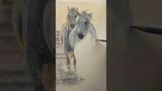 I absolutely loved drawing these Camargue Horses! #colouredpencilart #equineart #bonnysnowdonacademy
