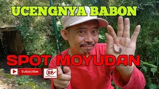SPOT WADER DAN UCENG DAERAH MOYUDAN YOGYAKARTA - EP Emang Production