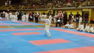 Zen Shin Kotai