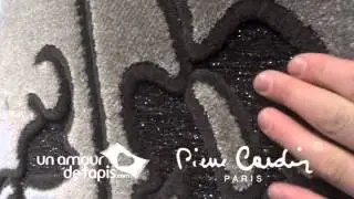 Tapis BIANCO 3 marron - marque Pierre Cardin - sur unamourdetapis