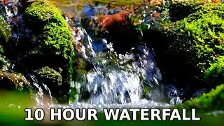 Calm Stream Water Sounds [4K] - Relaxing Background for Work & Study
