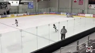 Lakeville B1 v OMGHA U10 B1
