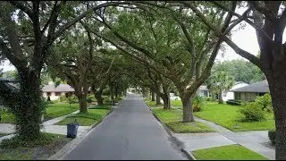 Winter Park Pines - Neighborhood Preview