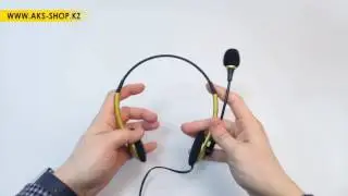 Накладная стерео гарнитура SmartBuy EZ-TALK PROFESSIONAL (SBH-5100)