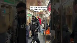 This blind man with the dog going crazy on the subway 😭😂 @jmassiah901 #funny #hoodfunny #comedy