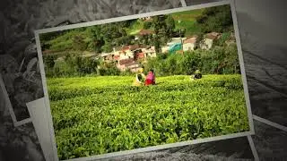 Enjoy the beautiful of Marayur #marayur #marayoor #tourism #idukki #kerala